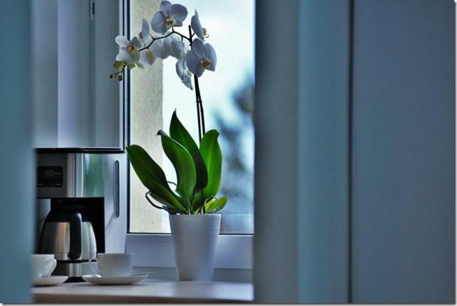 Cozy Base Daire Gdansk Dış mekan fotoğraf